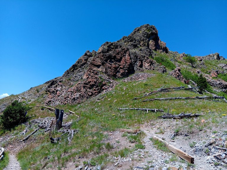 20250615_115140.jpg