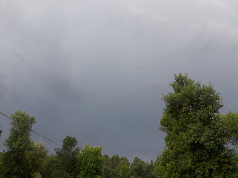 20190906_075138.jpg