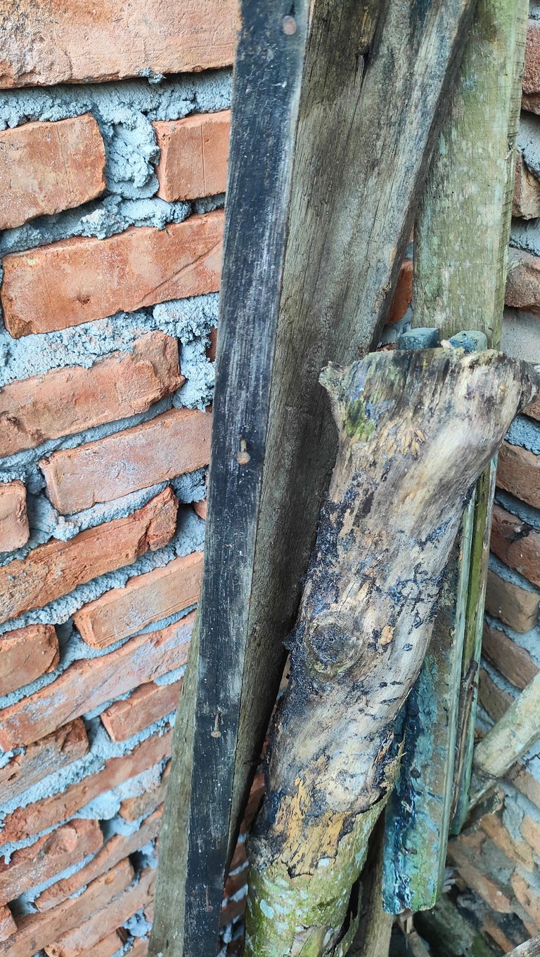 IMG20250302091849.jpg