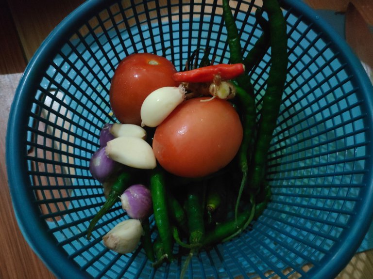 IMG20231002055501.jpg