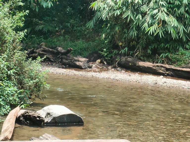 IMG20230322122749.jpg