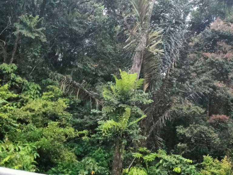 IMG20230322182414.jpg