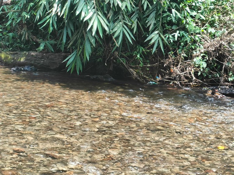 IMG20230322122751.jpg