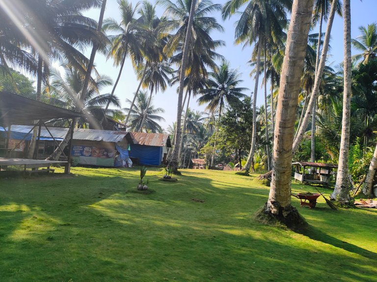 IMG20230218085927.jpg