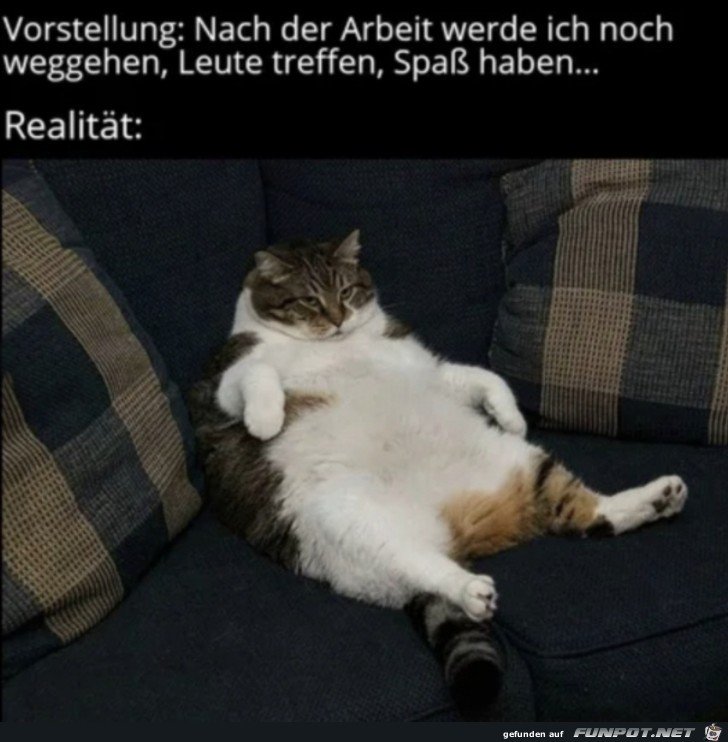 Vorstellung_vs_Realitaet.jpg