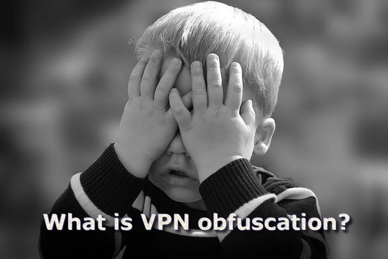 what is vpn obfuscation.jpg