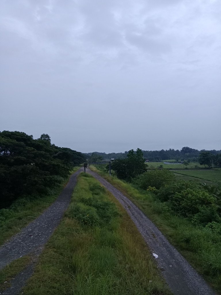 1000005418.jpg