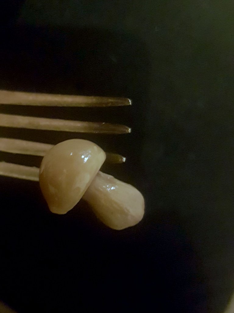 20230428_211359.jpg