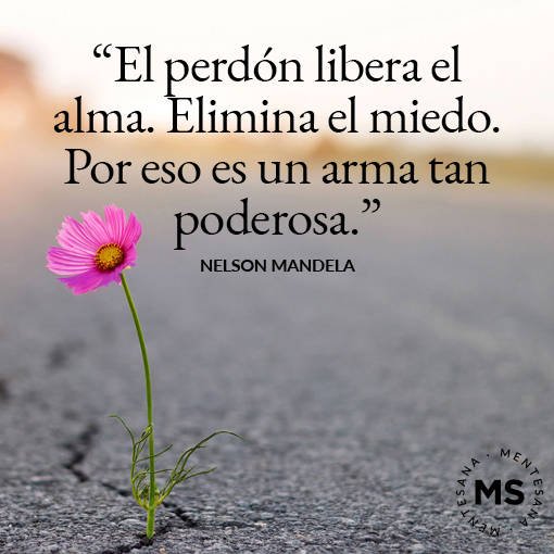 frases-perdonar1_9ff94102_240129132354_510x510 (1).jpg