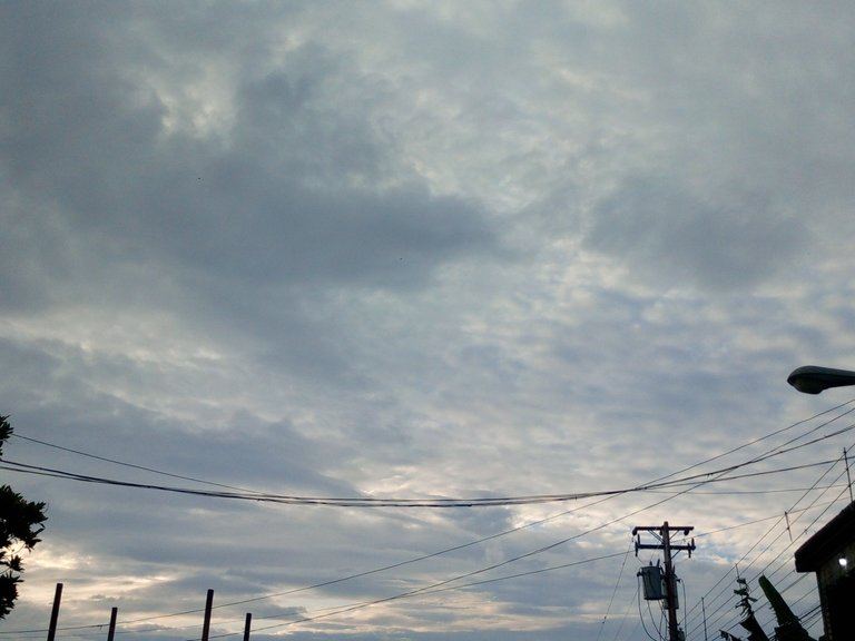 IMG_20250519_064107_957.jpg