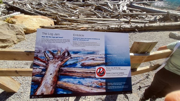 Moraine Lake Entrance Info