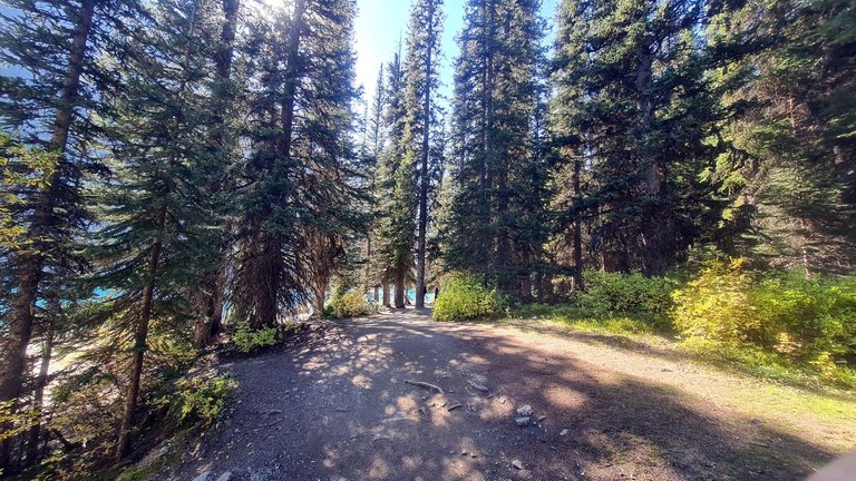 Moraine Lake Trail