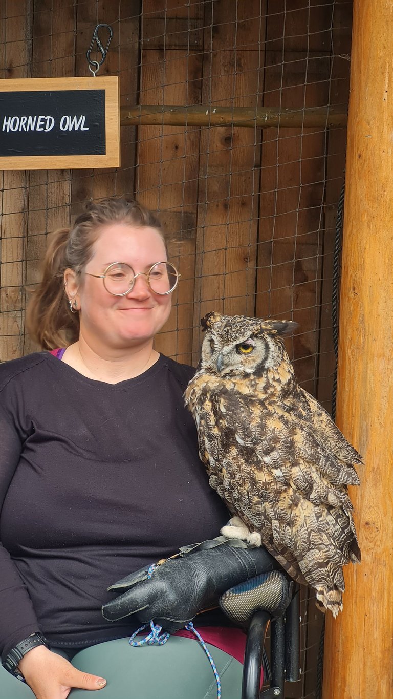 Capilano Birds Exposition - Owl