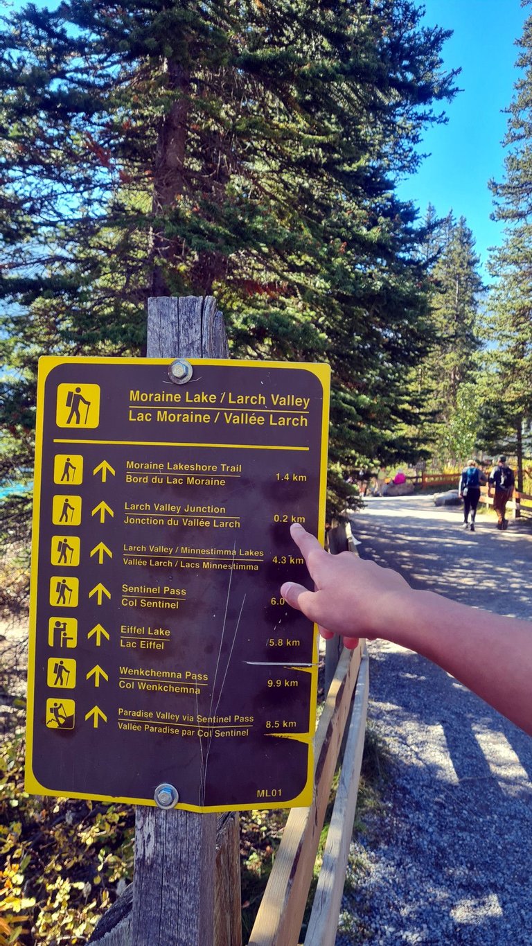 Moraine Lake Trails