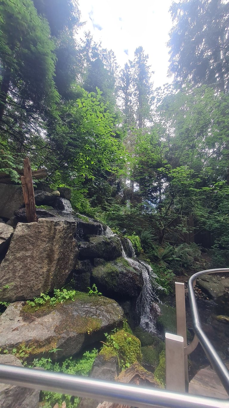 Capilano treetop waterfall