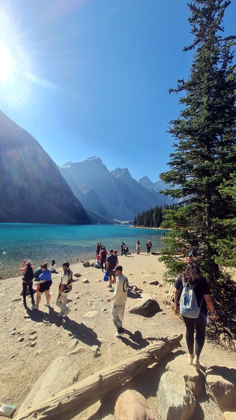 Moraine Lake Shore