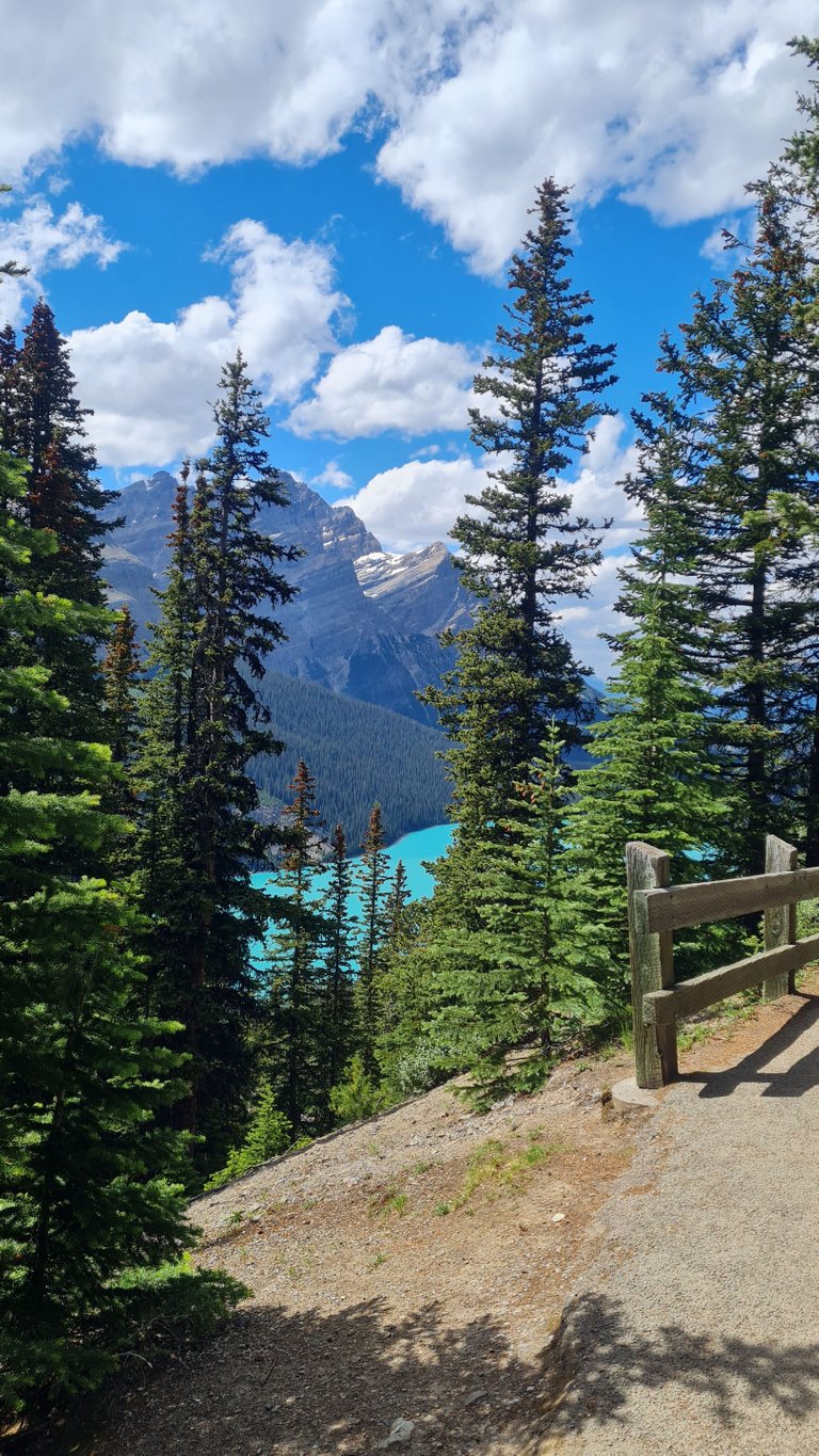 Peyto Lake from the trail 1