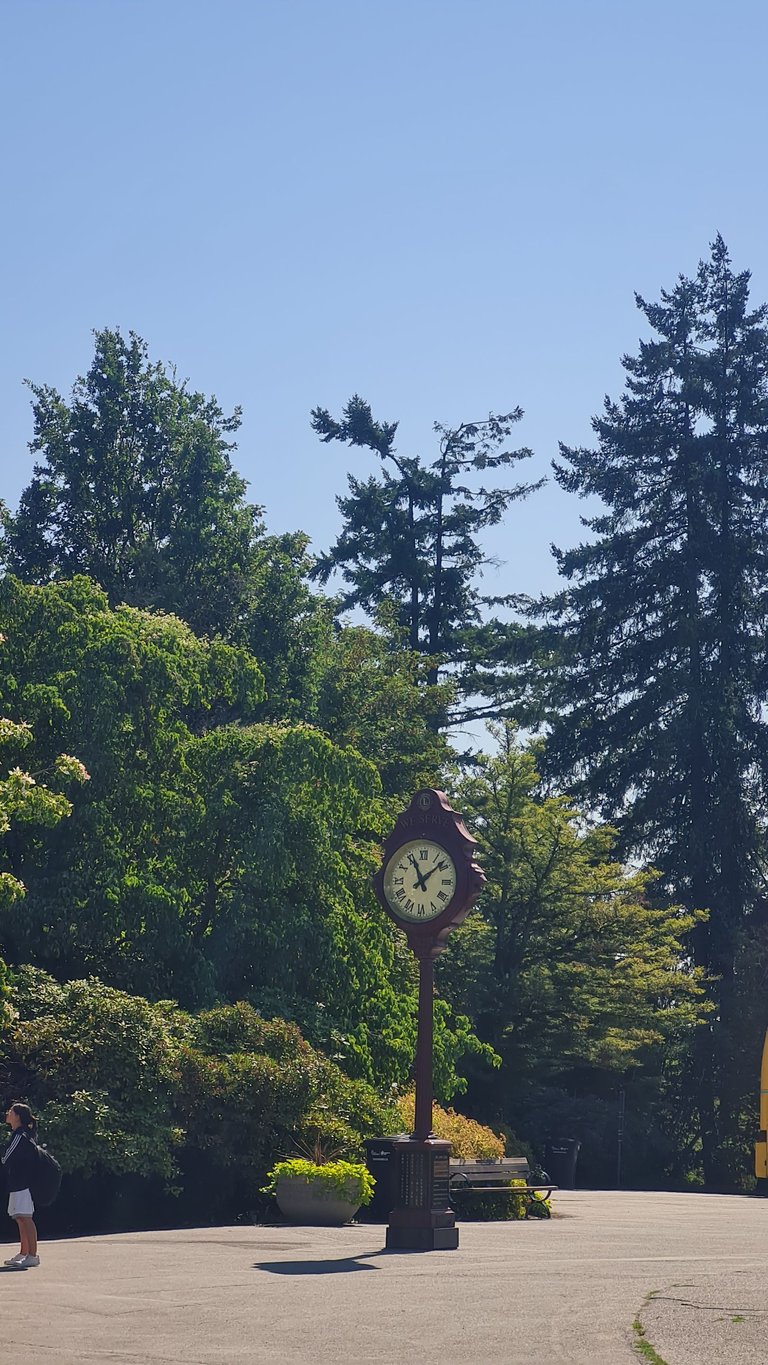 Clock at the garden