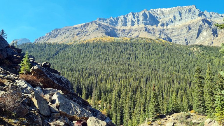 Moraine Lake Rockpile View of the larches