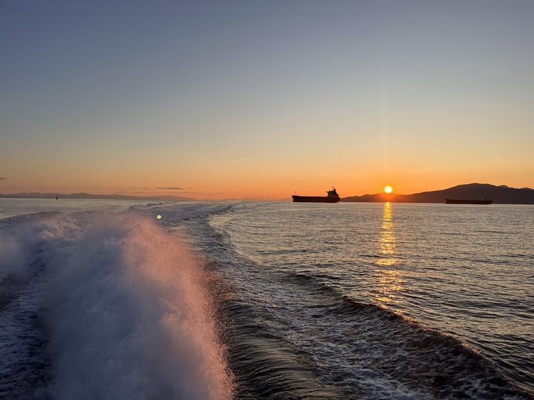 Whale Watching Sunset