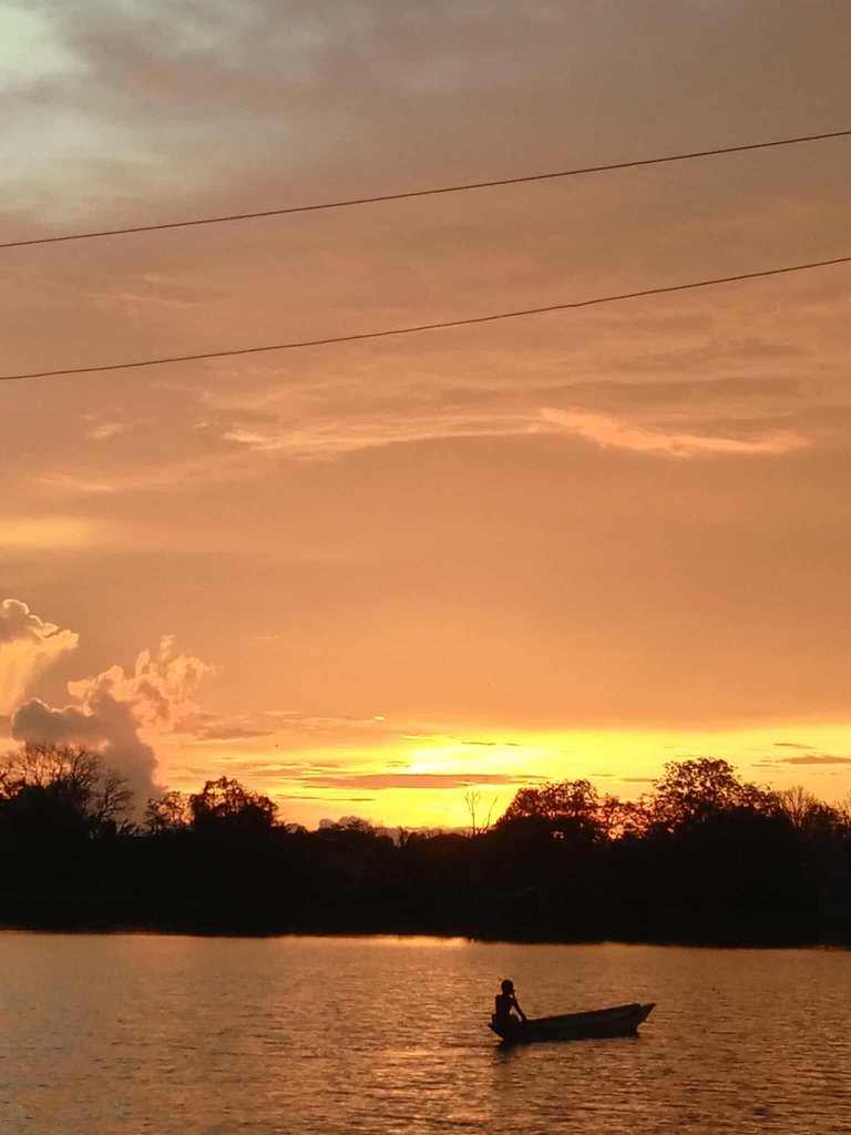 Phone Photography Contest - #68