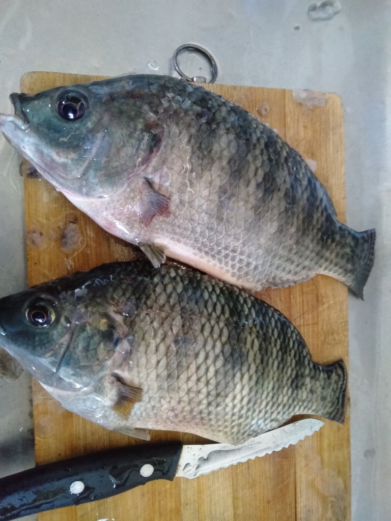 Freshly Cooked Fish Cooked in Tamarind Soup 