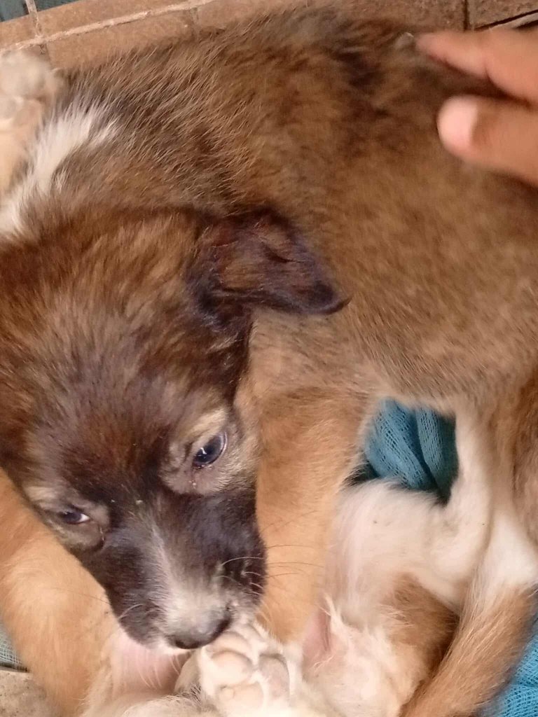 received_707186275174858.jpeg