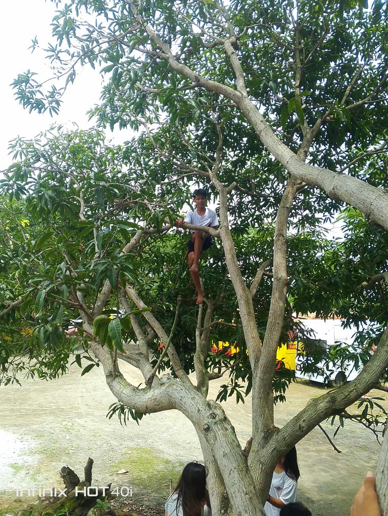 received_1522468529028524.jpeg