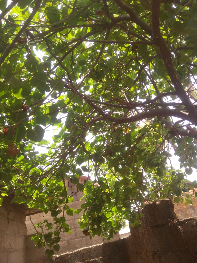 IMG_20250506_122123.jpg