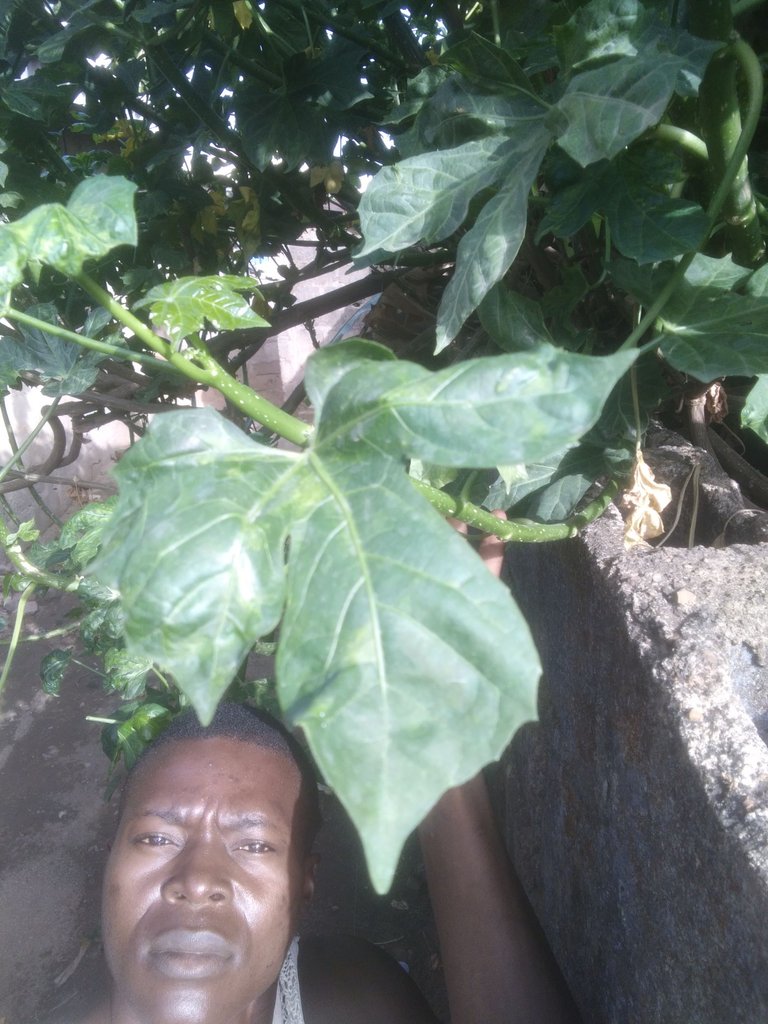 IMG_20250506_162006.jpg