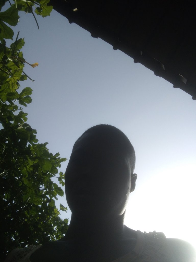 IMG_20250506_162010.jpg