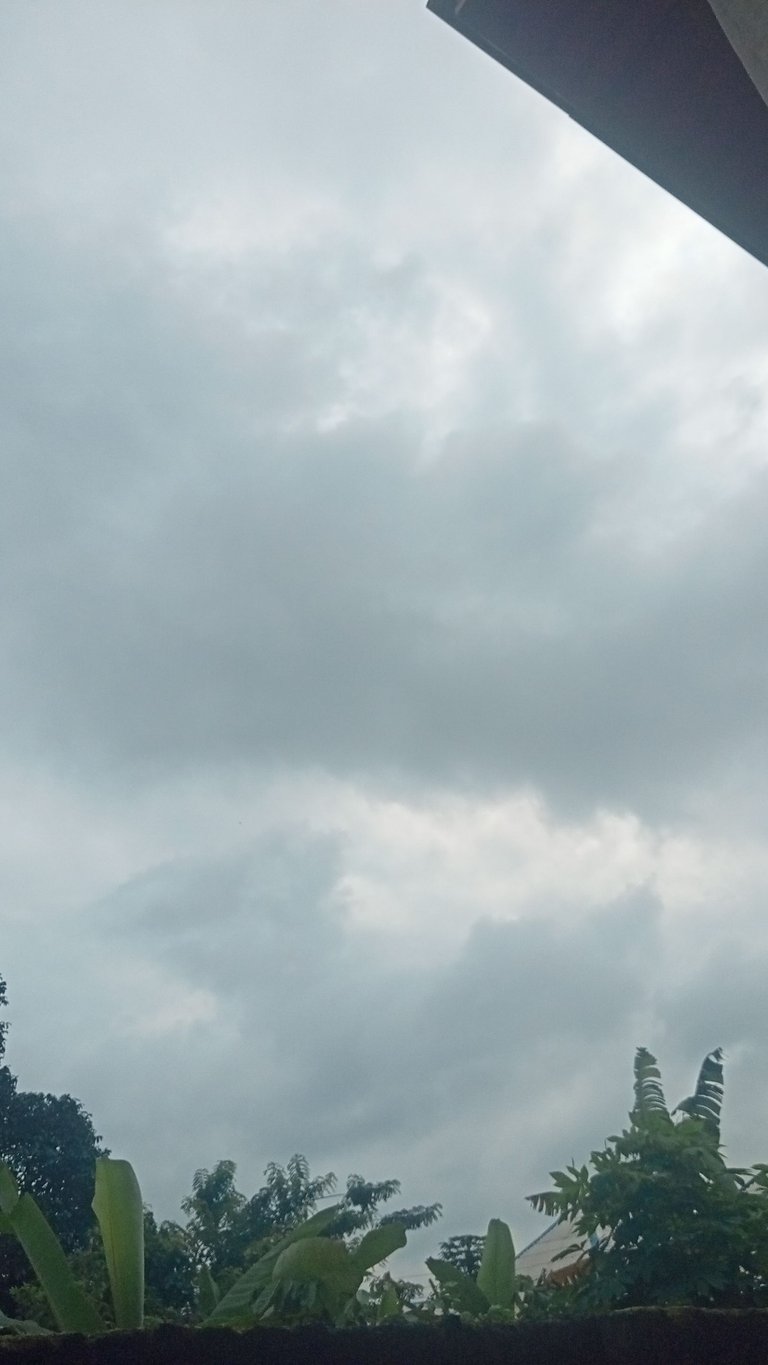 IMG20250802093204.jpg
