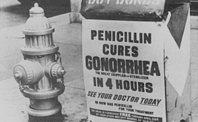 penicillin lrg stmu media.jpg