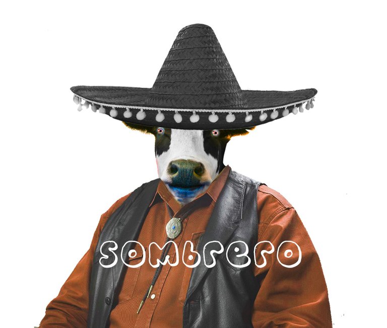 70_sombrero.jpg