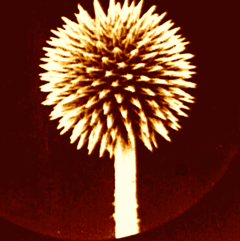 Screen Shot 2025-06-12 at 10.21.42 AM.png