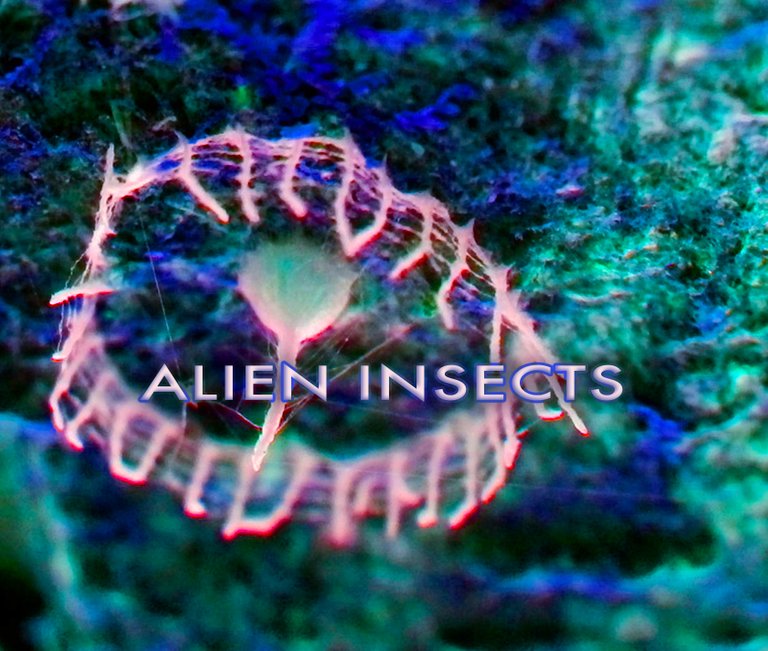 015_alieninsects.jpg