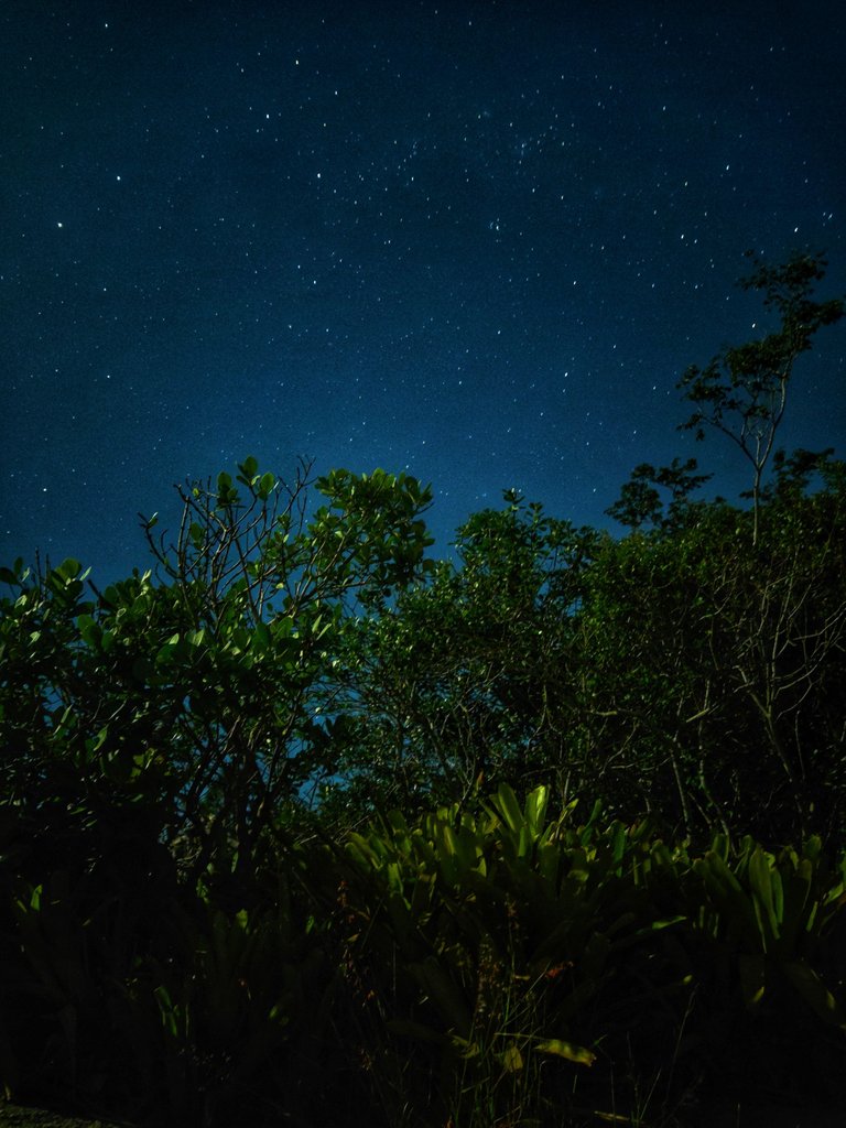 Long Exposure Night Sky