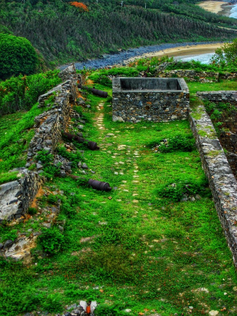 Fort side
