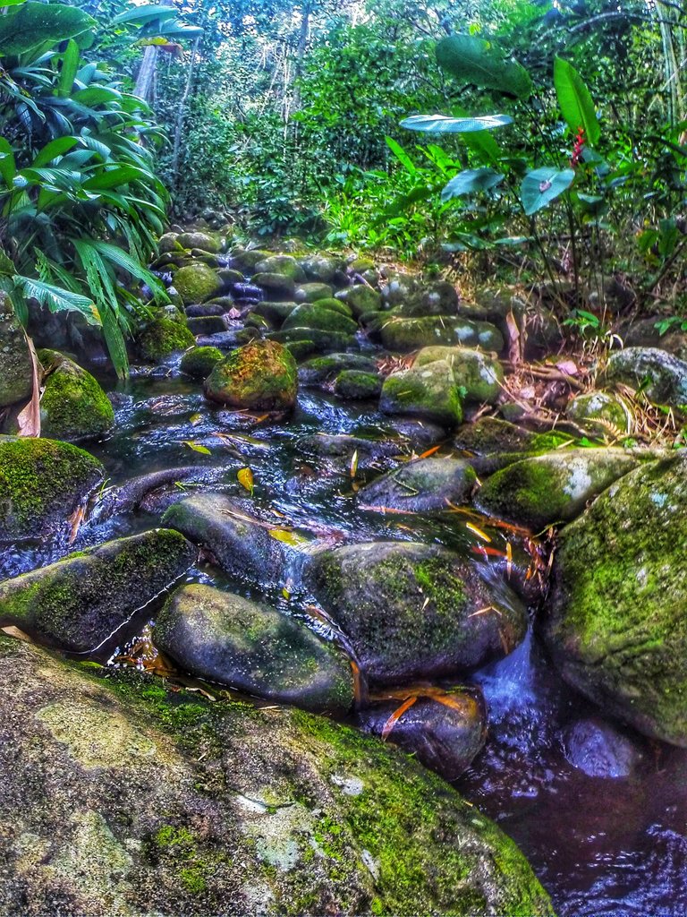 rio trilha antigos