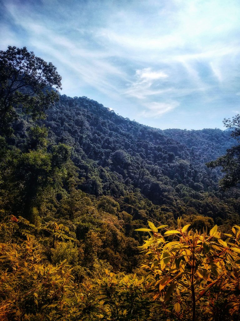 National park reserve trail