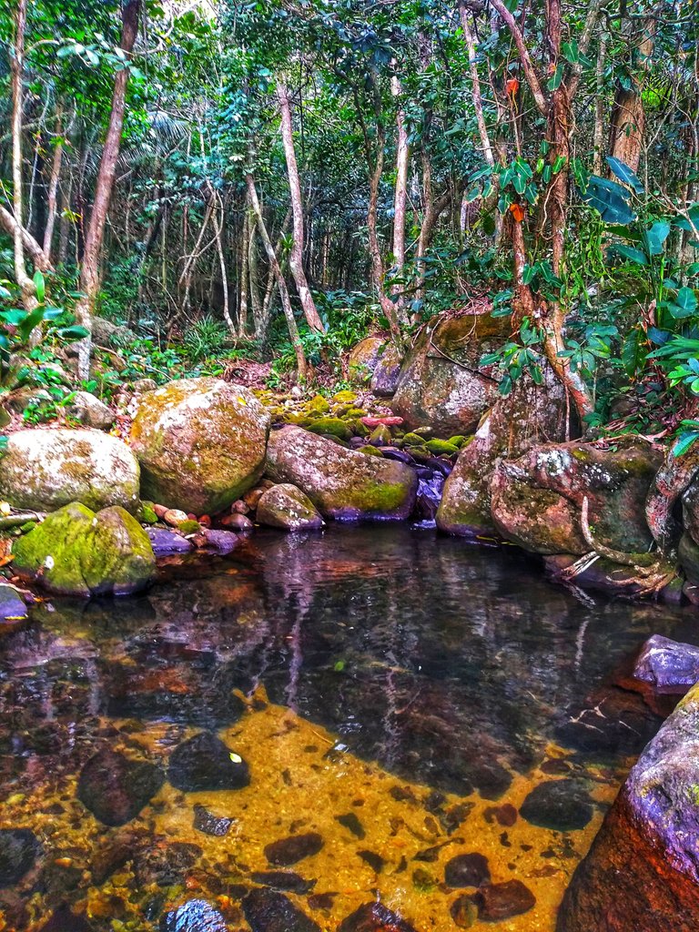 piscina natural