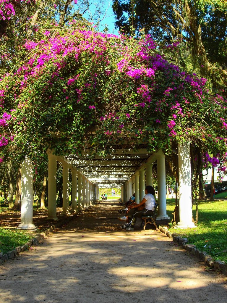 Jardim Botanico Flowers Passeo