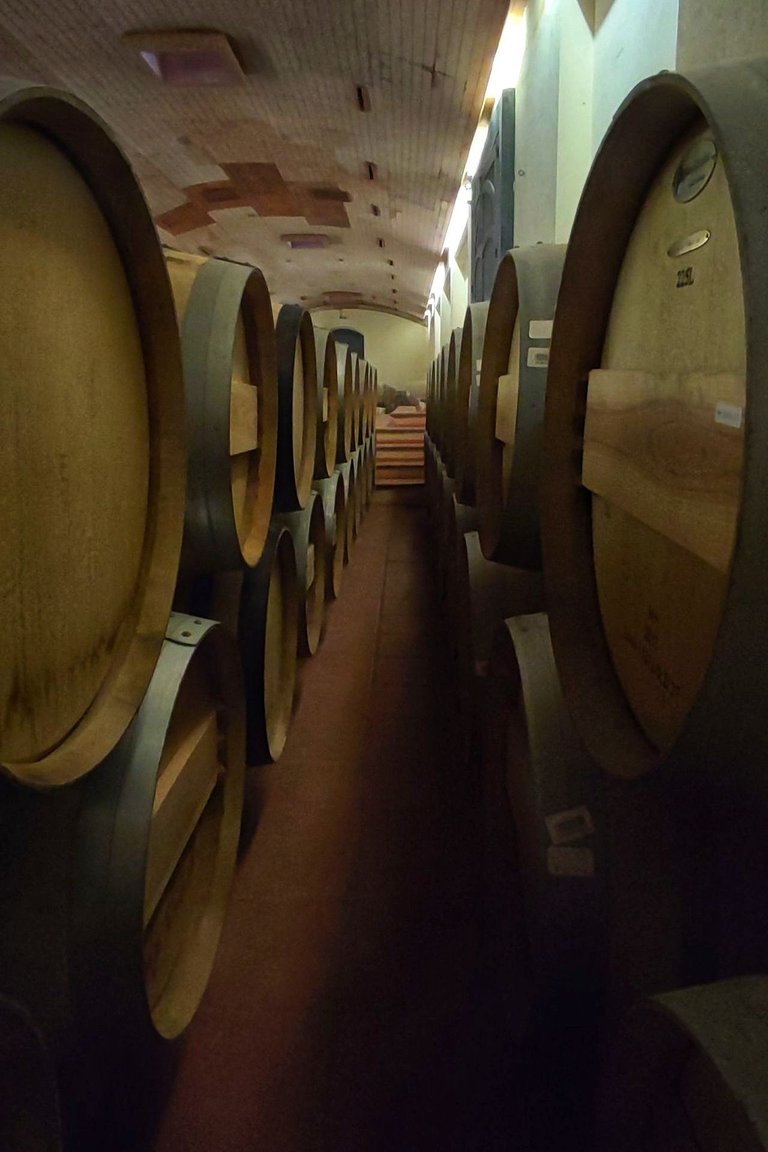 French Oak Wine Barrels