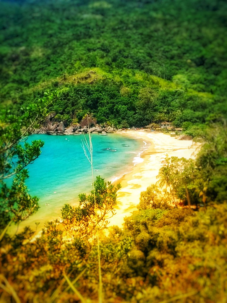 Jabaquara beach - a natural refugee