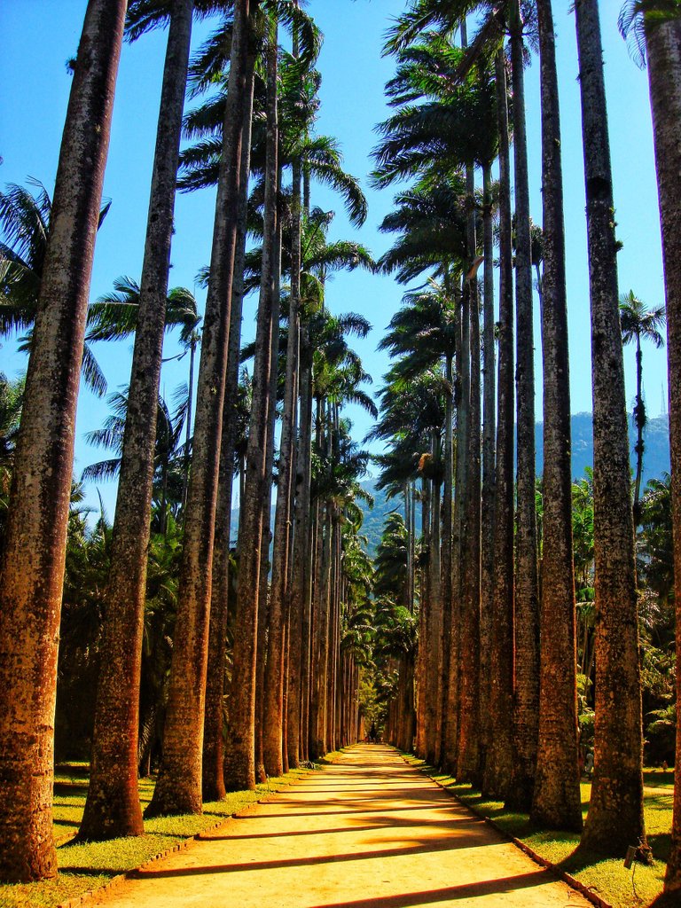 Park Entrance - Alea Barbosa Rodrigues Street