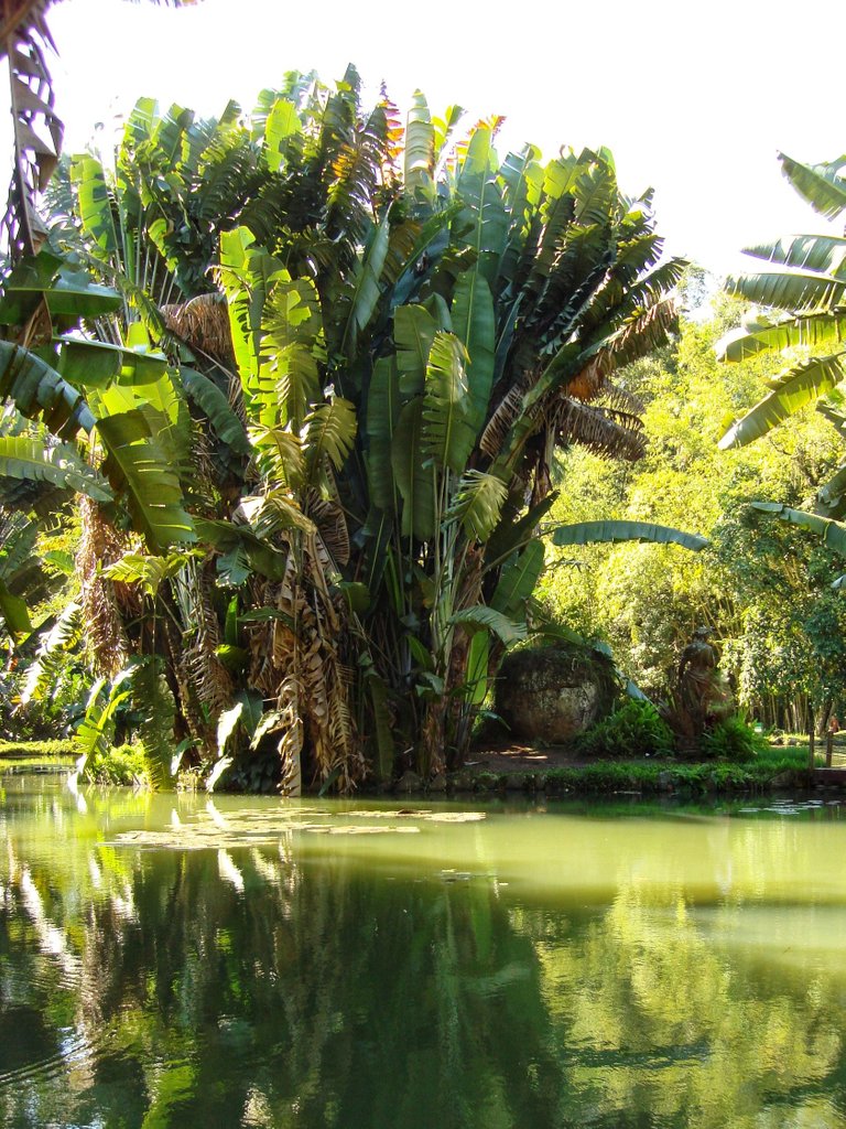 Lago Frei Leandro