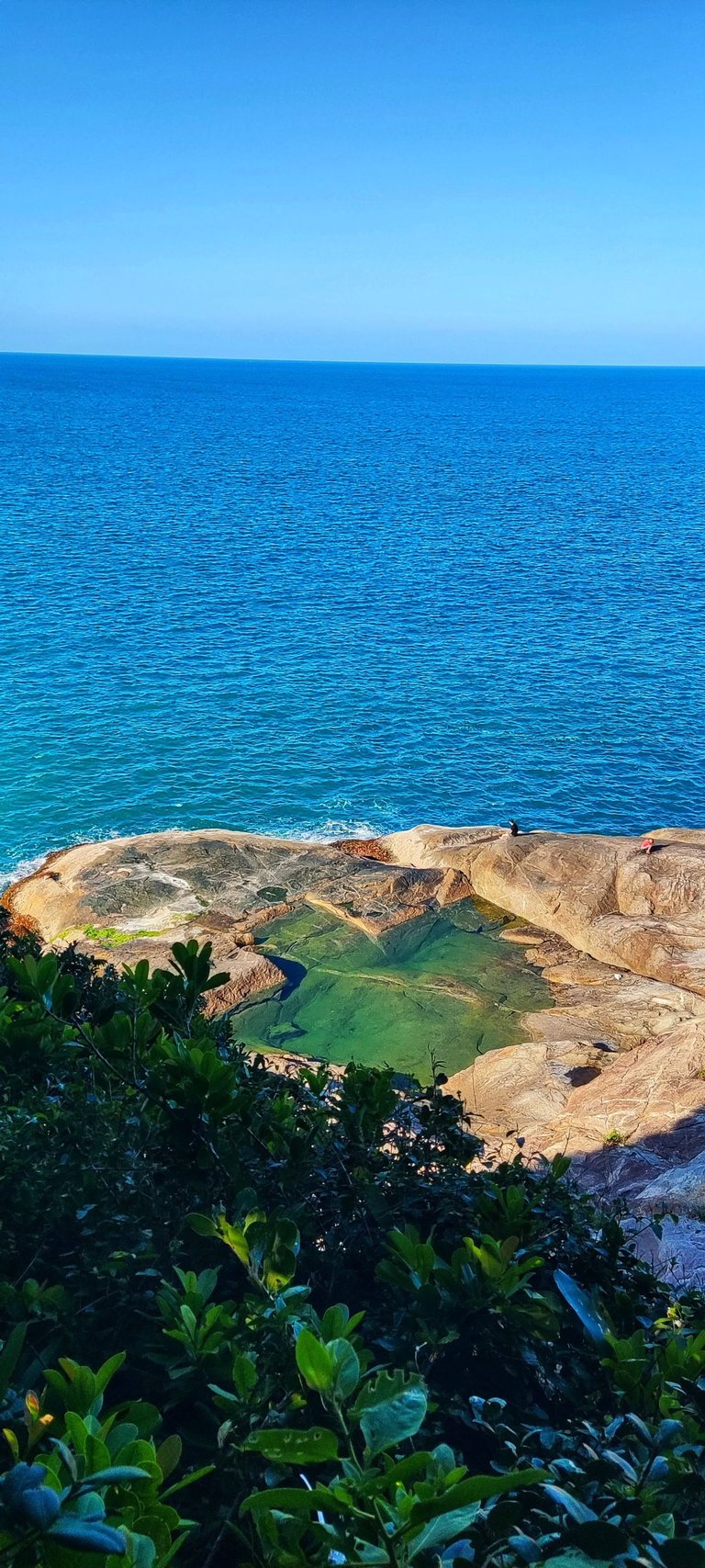 Natural Pool from above