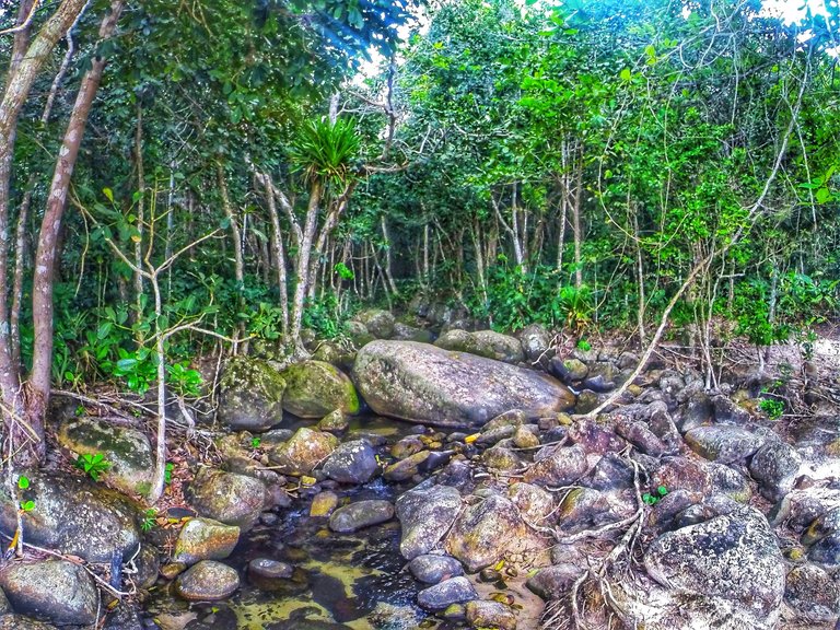 rio trilha antigos