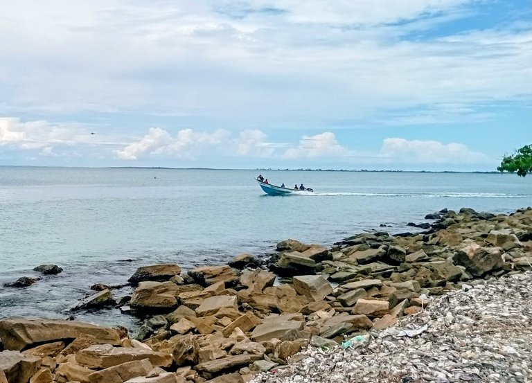 bote.jpg