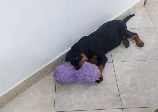 bebe.jpg
